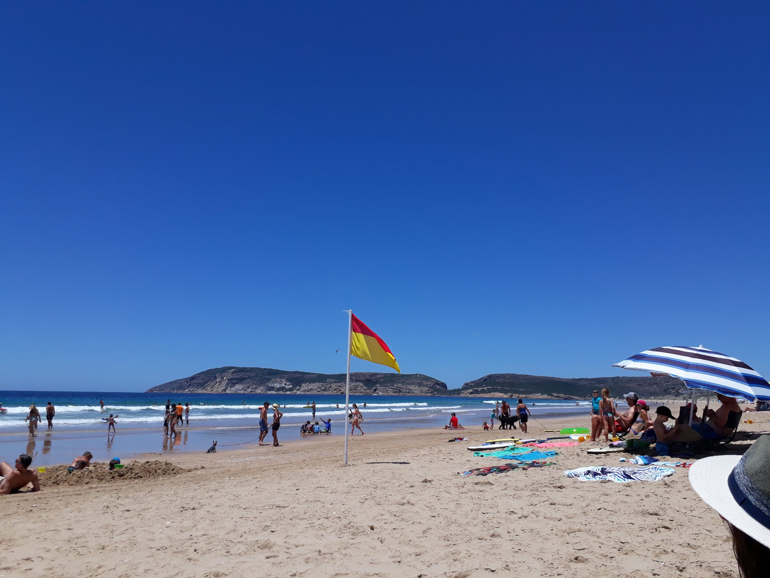 Peak Summer Fun